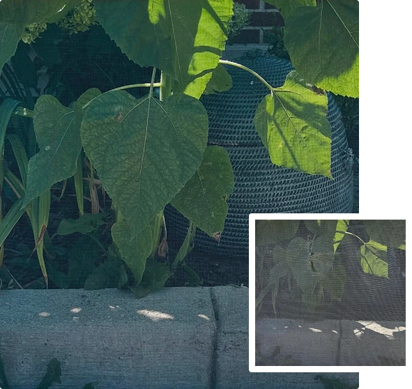 screen repair service